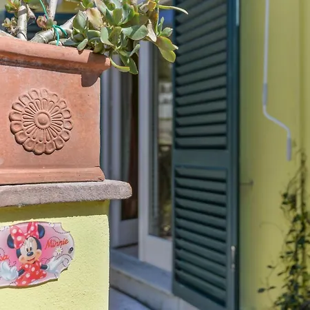 Casa Minnie